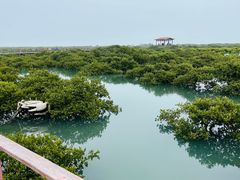 -北海金海湾红树林生态旅游区