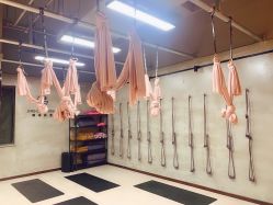 -JC·YOGA静禅瑜伽普拉提