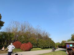 -南湖湿地公园