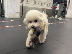 -AMRAP综合体能训练