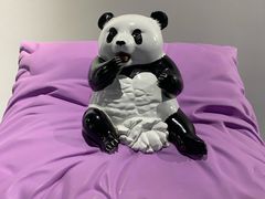 -都江堰中华大熊猫苑