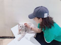 -藏猫猫咖啡主题馆(中央大道店)