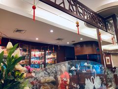 -中国城银都鱼翅酒楼