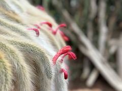 -南通洲际绿博园