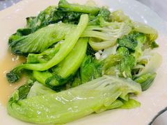 -姚林轩