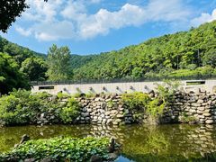 -九龙潭景区