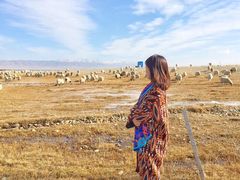 -青海湖国家重点风景名胜区