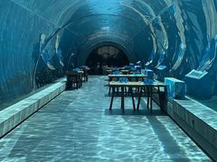 -海棠湾洲际-涛·海底餐厅·美人鱼·自助餐·海底隧道