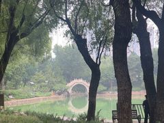 -团结湖公园