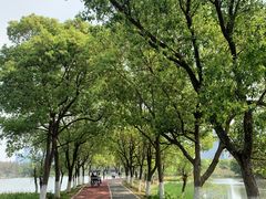 -艾溪湖湿地公园