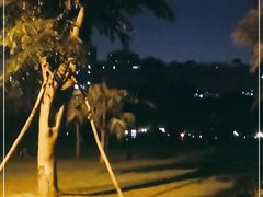 -东风公园