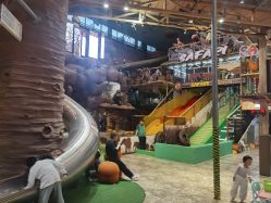 -卡通尼·Safari非洲探索乐园·生日会(金桥国际商业广场店)