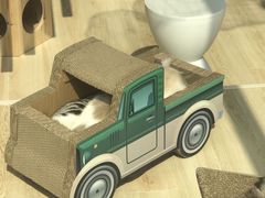-momokira米努特·德文卷毛猫·棉花面纱犬