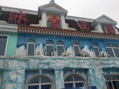 -芜湖新华联大白鲸海洋公园