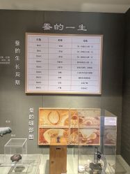 -太湖雪蚕桑文化园