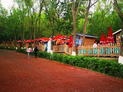 -水上乐园·欢乐世界