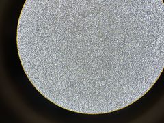 -上海吉涛生物科技有限公司