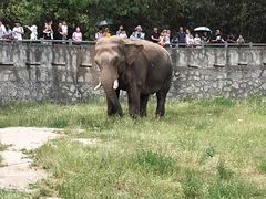 -西安秦岭野生动物园
