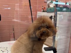 -FAELING PETS美天灵宠物(合生汇店)