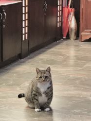 点击看大图 -陈攻馆·汉服