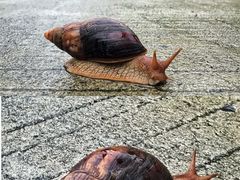 -那琴半岛地质海洋公园