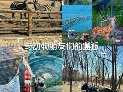 -大连森林动物园