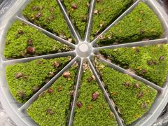 -蟹天蟹地农家菜·阳澄湖大闸蟹(浅水湾店)