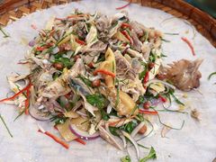 -洞背山庄(洞背院区式管理小区店)