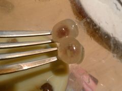 红豆珍珠-必胜客(浦上万达店)