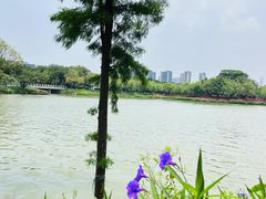 -顺峰山公园