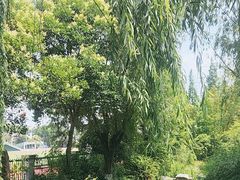 -太子山公园(园东路)