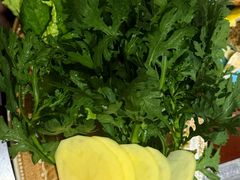 -菌之家·专业纯野生菌火锅·特色炒菌