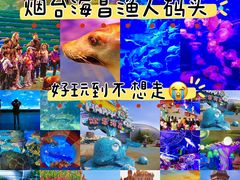 -烟台海昌鲸鲨海洋公园