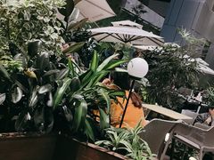 -tea'stone (万象天地店)