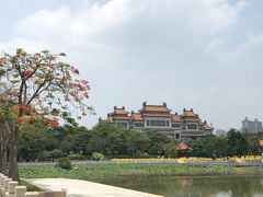 -顺峰山公园