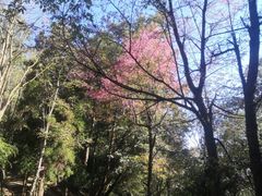 -苍山感通索道