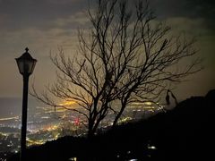 -缙云山景区