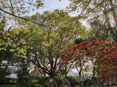 -白马涧龙池景区