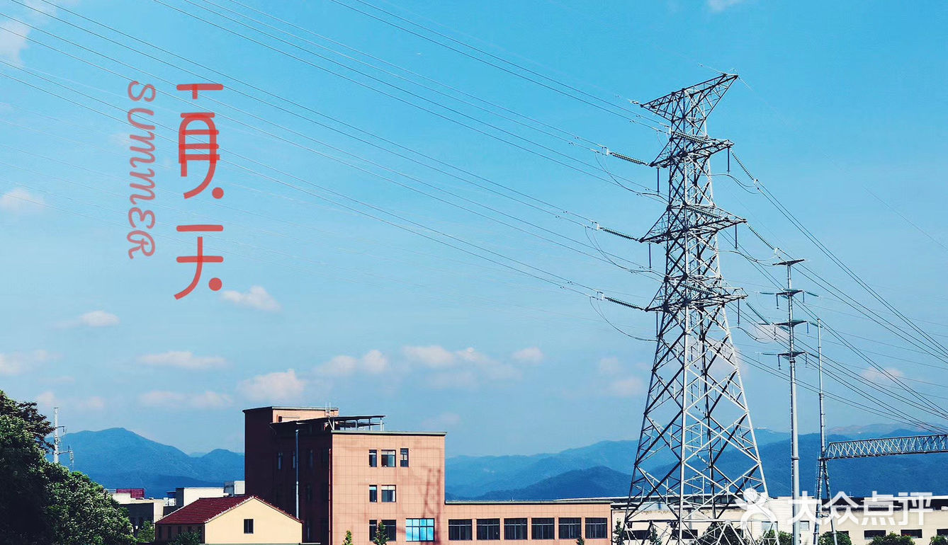 摘一颗或剪一串井水一洗玫瑰味葡萄甜的沁人心脾流云掠过