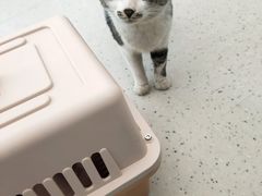 -爱诺动物医院(崂山店)