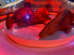 -侏罗纪世界电影特展(广州站)