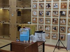 -袖虎猫馆(十亩地店)