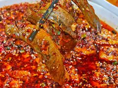 -辣螃铠盆盆蟹大排档(总店)