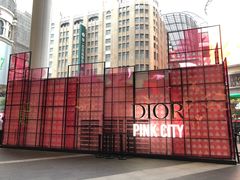 -Dior迪奥(上海世茂广场店)