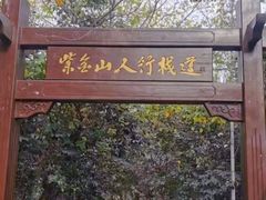 -紫金山山顶公园