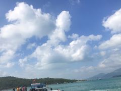 -珊瑚岛
