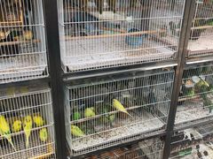 -宠爱我(南山店)