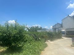 -老袁家蜜桃农场·阳山水蜜桃