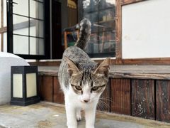 -几静cafe(基湖店)