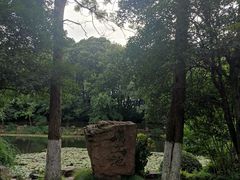 -灵谷景区